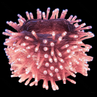 3AA baterijų plokščios girliandos