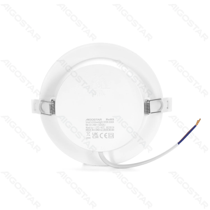 WiFi WB išmanus įleidžiamas šviestuvas 9W