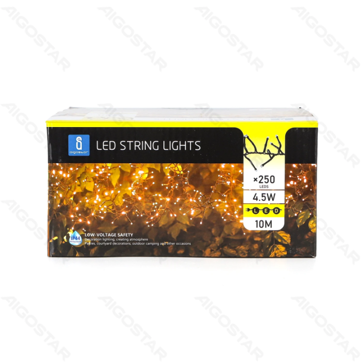 LED žemos įtampos girliandos 10m
