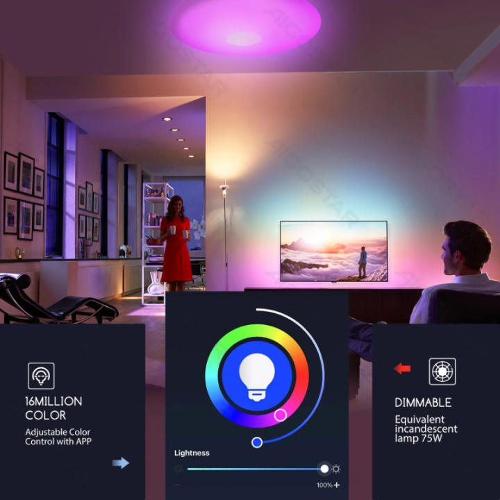 WiFi Smart LED Ceiling Light 18W RGB+CCT