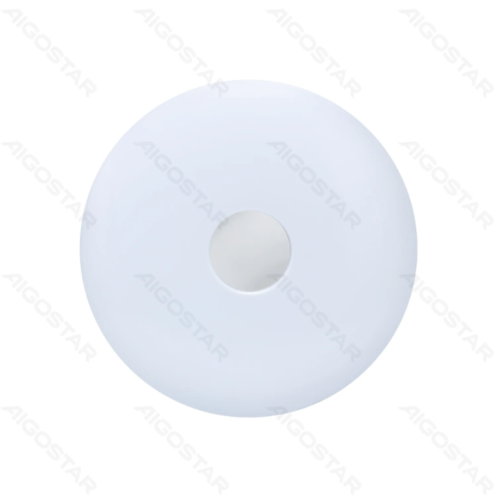 WiFi Smart LED Ceiling Light 18W RGB+CCT