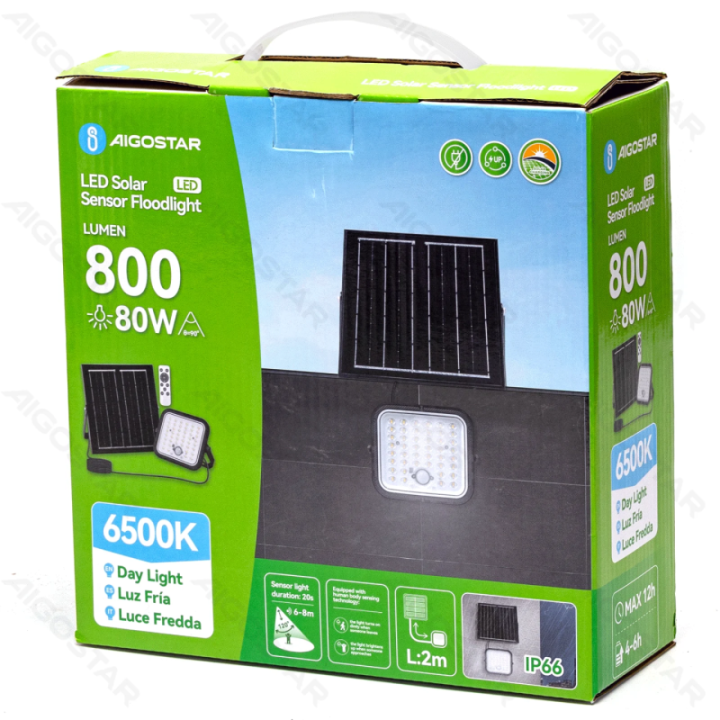 09 Solar floodlight 2m 80W PIR 6500K