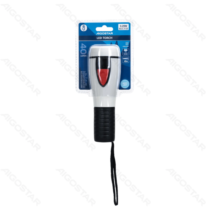 LED Torch 2*D