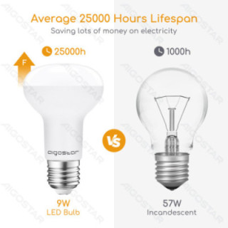 LED R63 Gaubinė lemputė-E27-9W-3000K-840lm