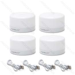 LED Magnetic Night Light
