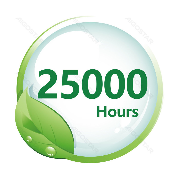 LED G120 Apvalioji lemputė-E27-20W-6500K-2060lm