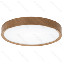 LED ceiling light 20W 2200lm 6500K