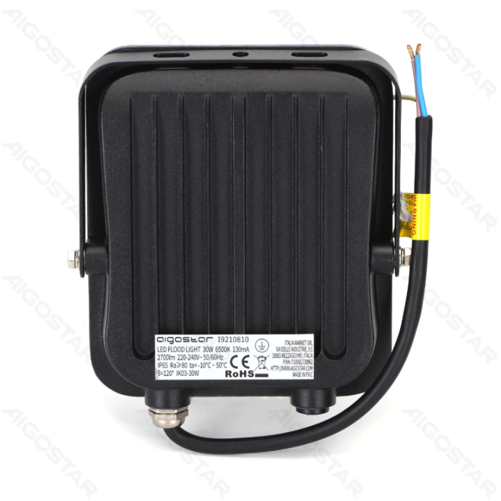LED floodlight 30W 2700lm 6500K IP65