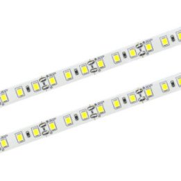 LED strip 120 SMD 2835 IP20 4.8W/m 6000K roll 50m