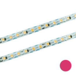 LED Strip 120 SMD flexible IP20 pink7W/m roll 10m