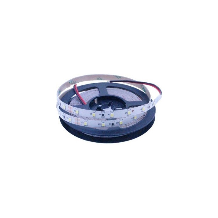LED strip 60 SMD 2835 IP20 24V 6000K 4.8W/m