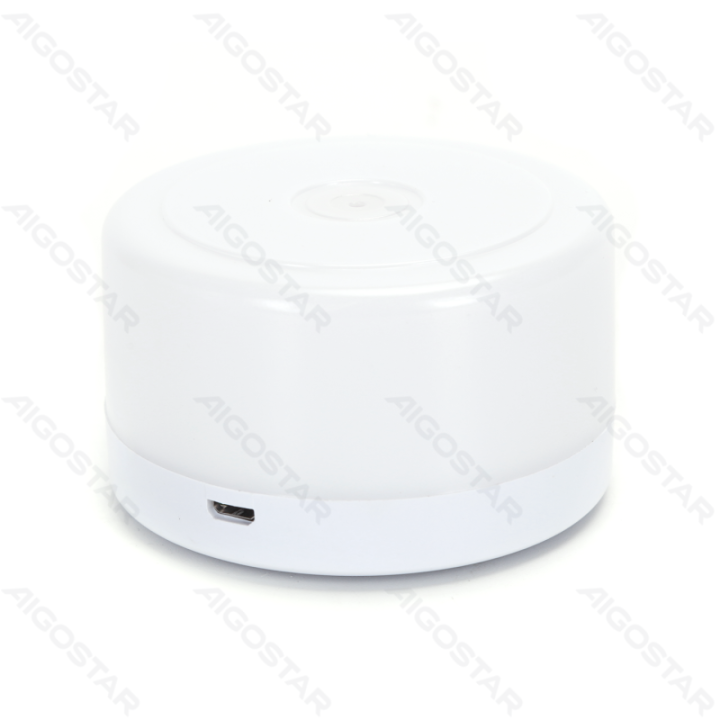 LED Magnetic Night Light