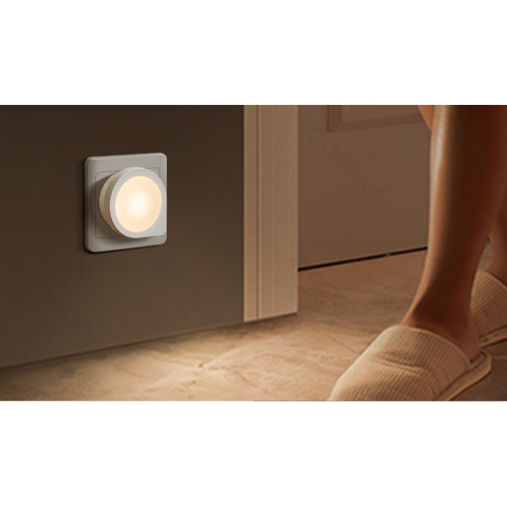 LED Night Light with Light Sensor