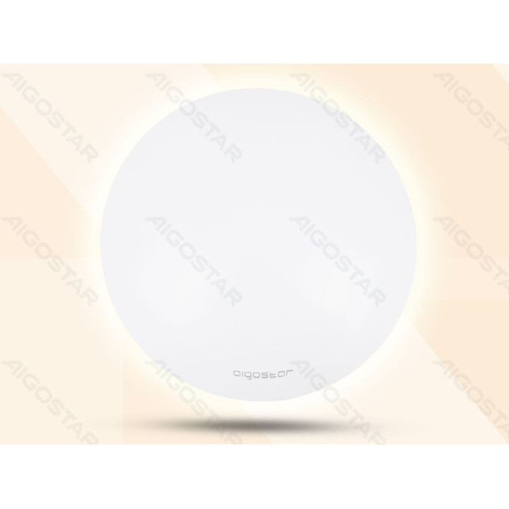 LED Ceiling Light 24W 6500K