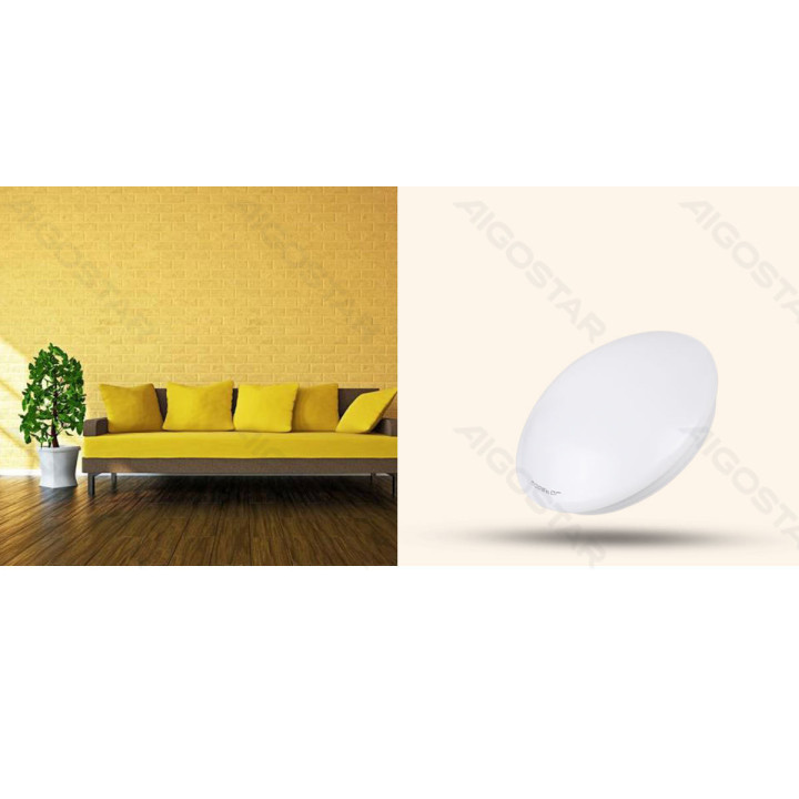 LED Ceiling Light 12W 6500K