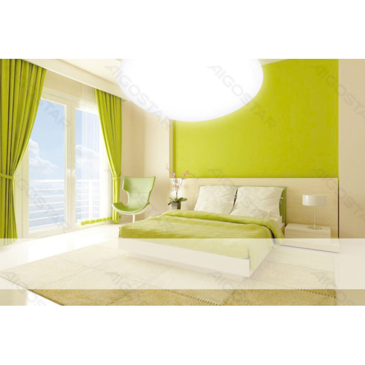 LED Ceiling Light 12W 6500K