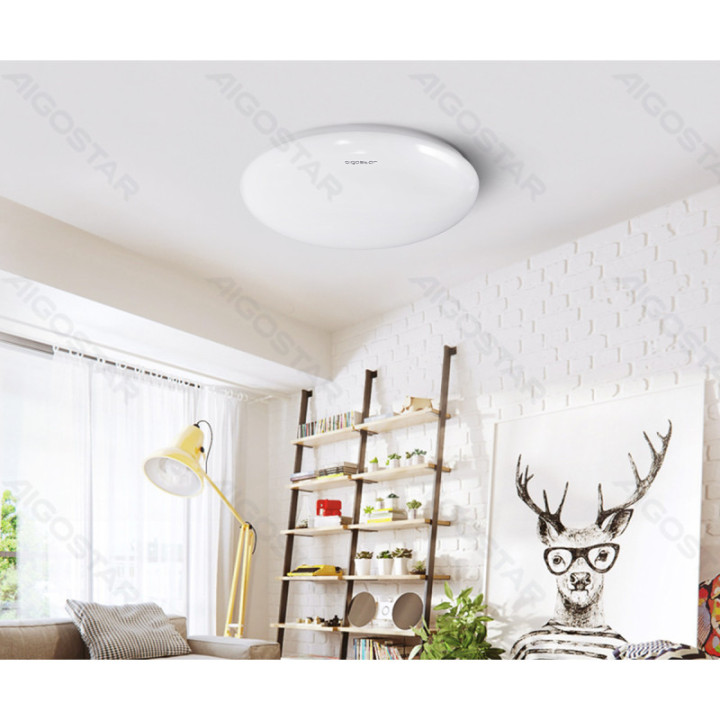 LED Reguliuojamas lubinis šviestuvas 18W 6500K