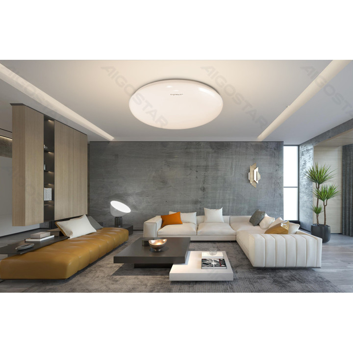 LED Ceiling Light 24W 3000K