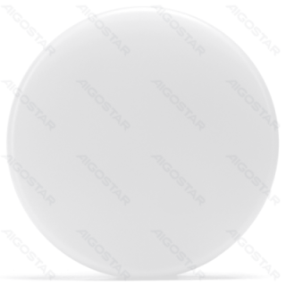 LED Drėgmei atsparus lubinis šviestuvas 24W 6500K