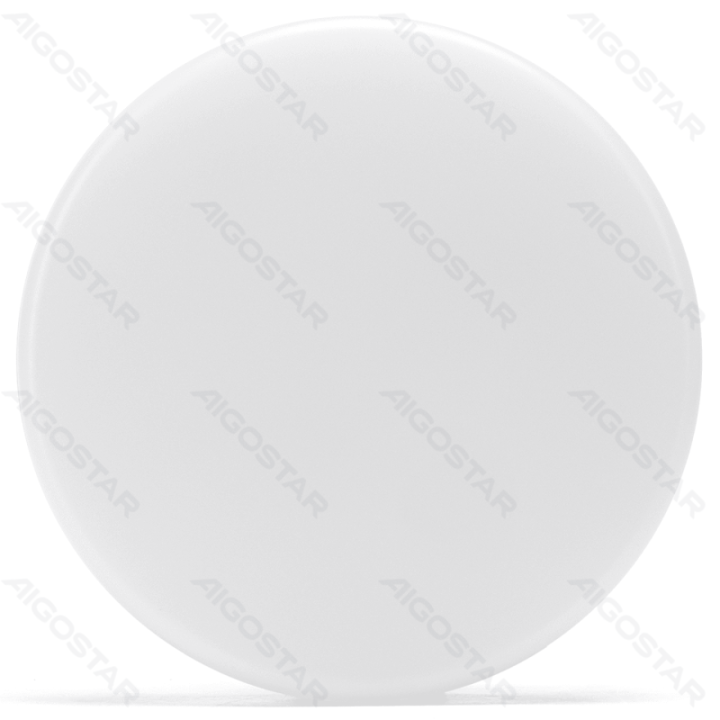 LED Drėgmei atsparus lubinis šviestuvas 24W 6500K