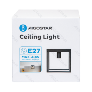 Metal Ceiling Light, E27