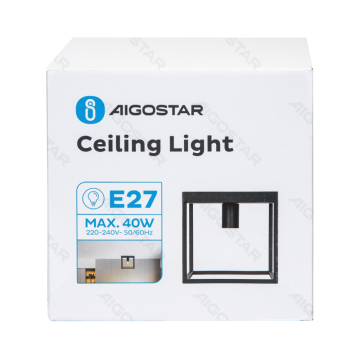 Metal Ceiling Light, E27