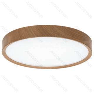 LED ceiling light 24W 2700lm 6500K