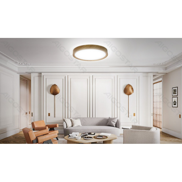 LED lubinis šviestuvas 24W 2700lm 6500K