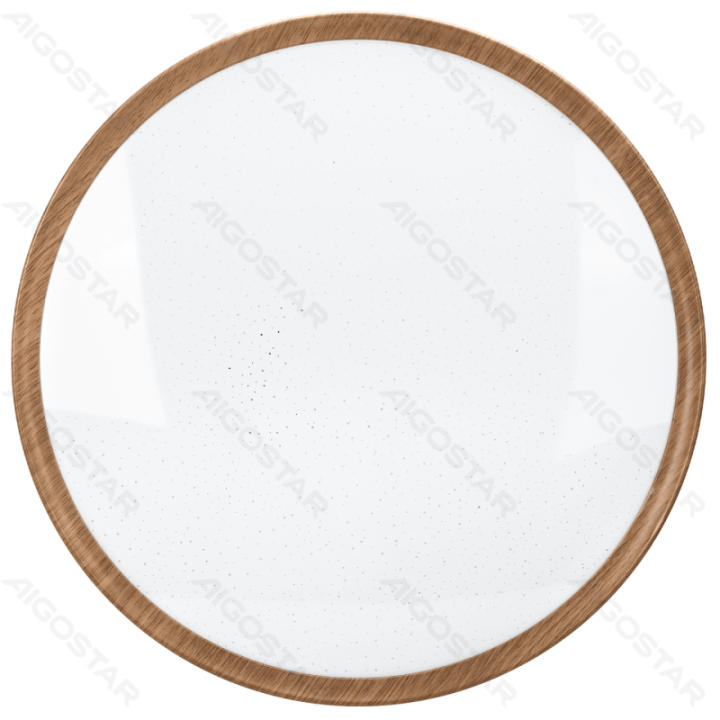 LED ceiling light 24W 2700lm 6500K