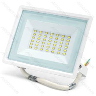 LED prožektorius 30W 6500K balta