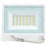 LED Floodlight 30W 6500K White