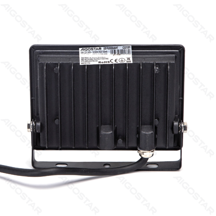 LED floodlight 30W RGB IP65