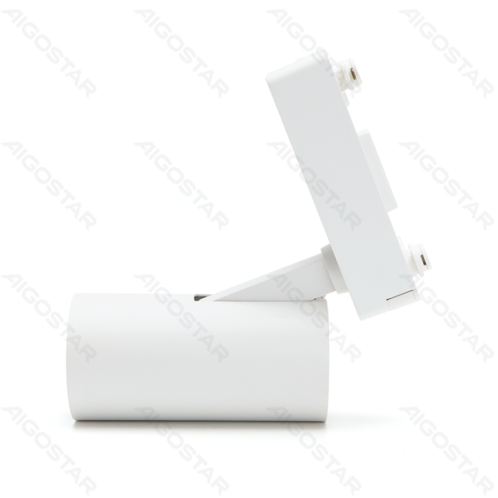 LED Dviejų laidų bėgelio šviestuvas baltas 10W