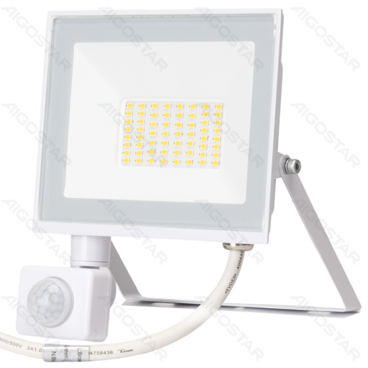 LED sensor flood light-30W-4000K-2700lm-IP65-Light sensitive induced&Human body sensor