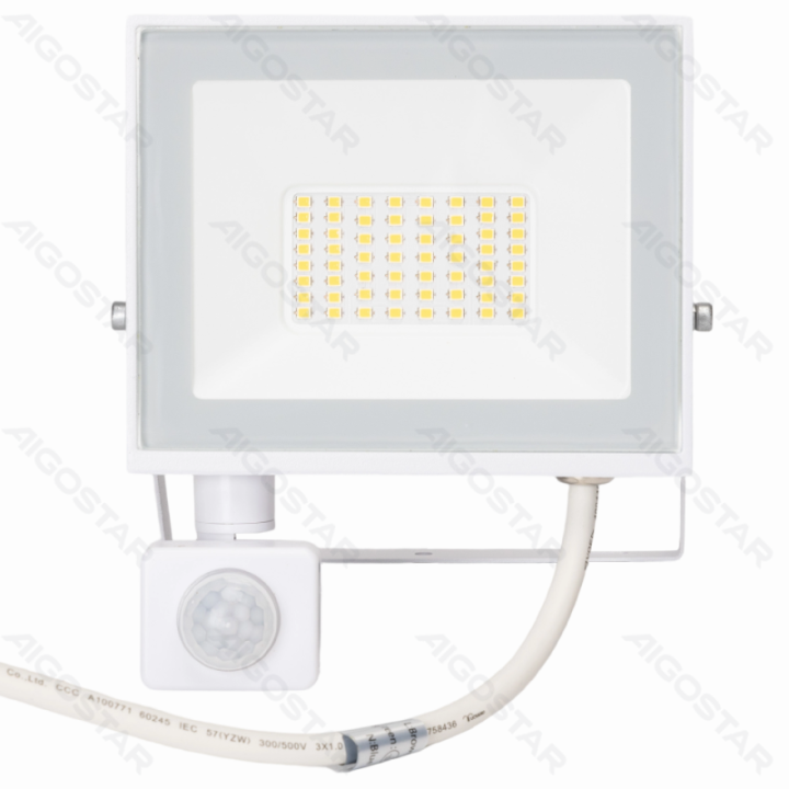 LED sensor flood light-30W-4000K-2700lm-IP65-Light sensitive induced&Human body sensor