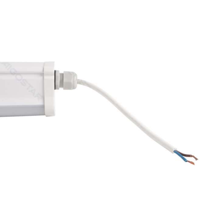 LED Tri-proof šviestuvas 0.6m 20W