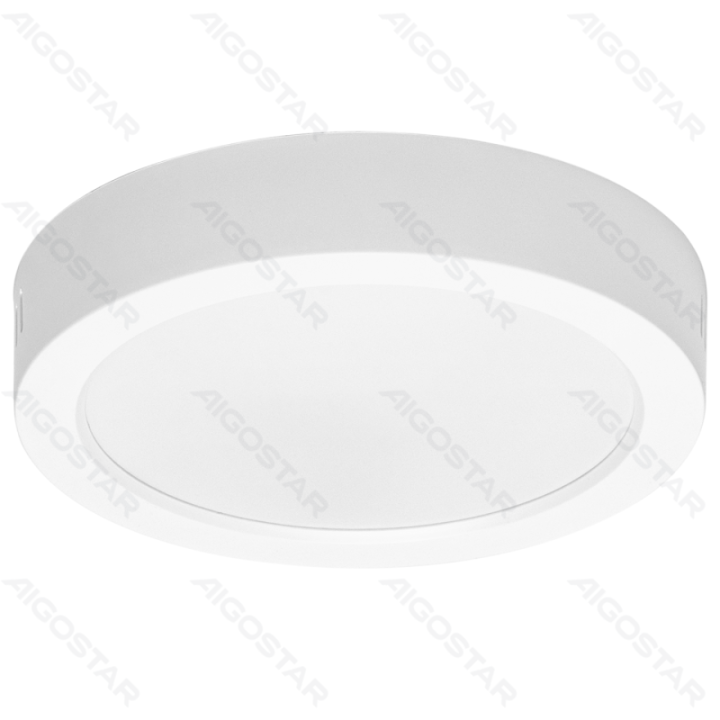 E6 LED Paviršinė apvali downlight 12W Šalta balta