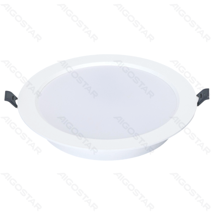 E6 LED Įleidžiamas apvalus downlight 12W Natūrali balta