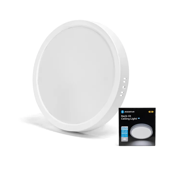 LED Paviršinis šviestuvas 24W