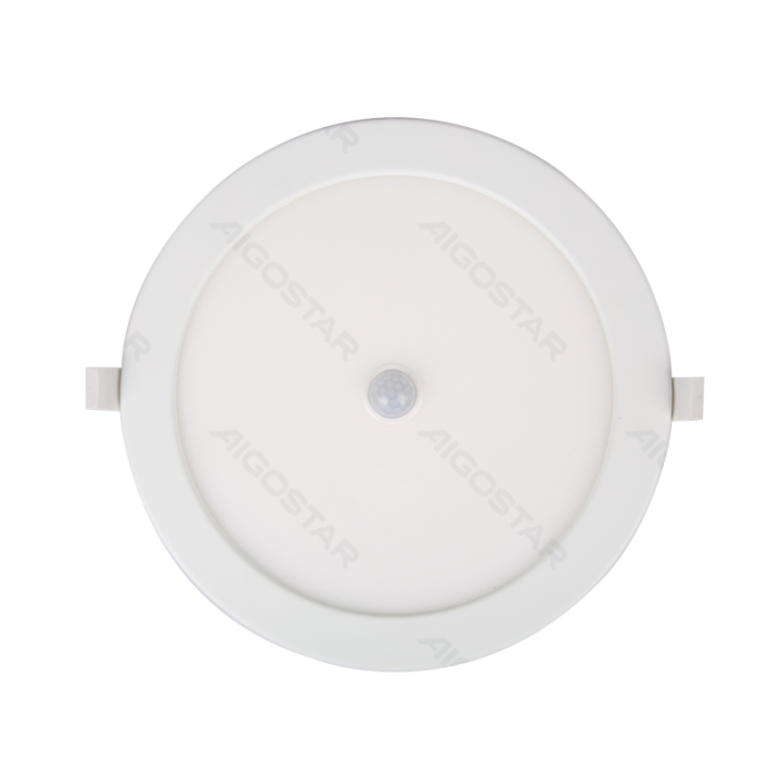 E6 LED  Flush-mounted Round Downlight with Sensor 24W White Light