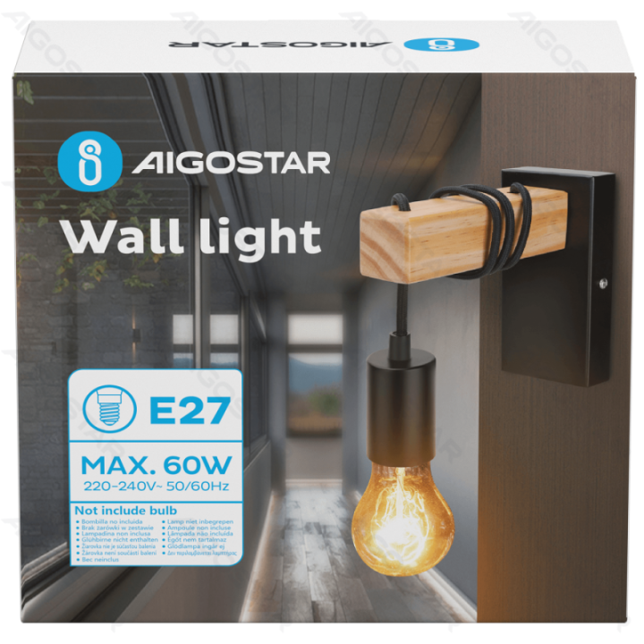 Wall Light with Hanging Lampholder (Without Light Source) E27