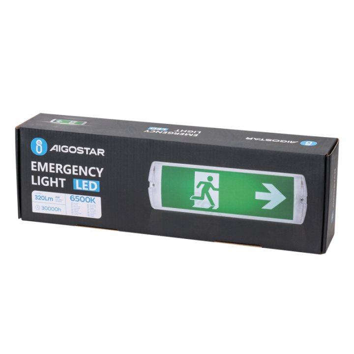 Emergency Light 4W 6500K