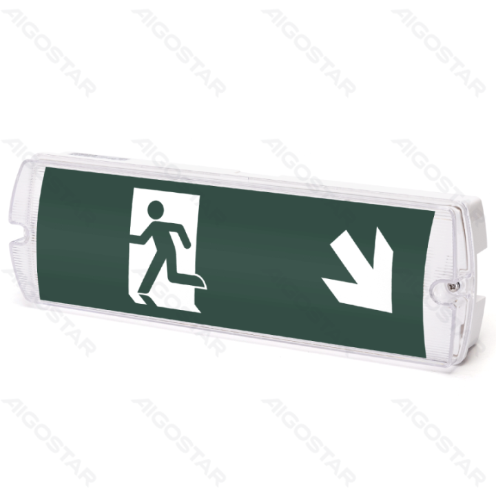 Emergency Light 4W 6500K