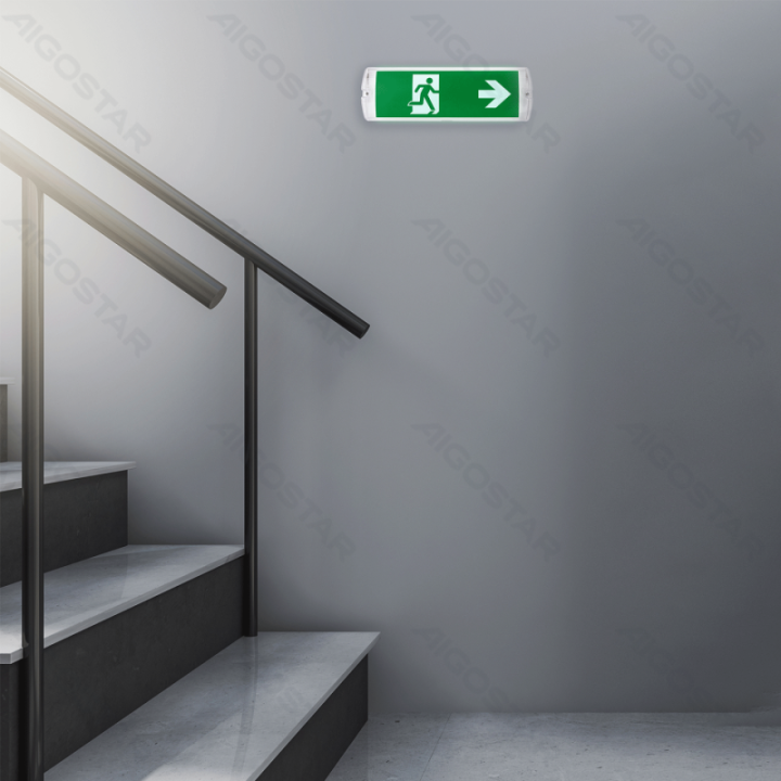 Emergency Light 4W 6500K