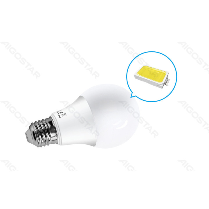 LED šviesai jautri indukcinė lemputė A60 E27 8W 6500K