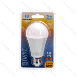 LED A60 Globe Bulb-E27-24W-3000K-2490lm
