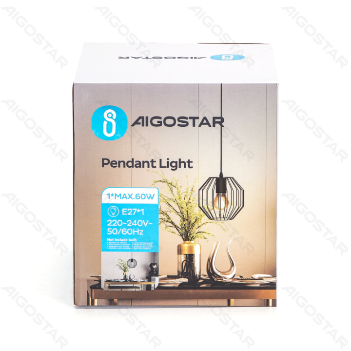 Geležinis pakabinamas šviestuvas (be šviesos šaltinio) E27