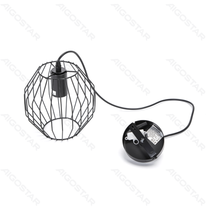 Geležinis pakabinamas šviestuvas (be šviesos šaltinio) E27