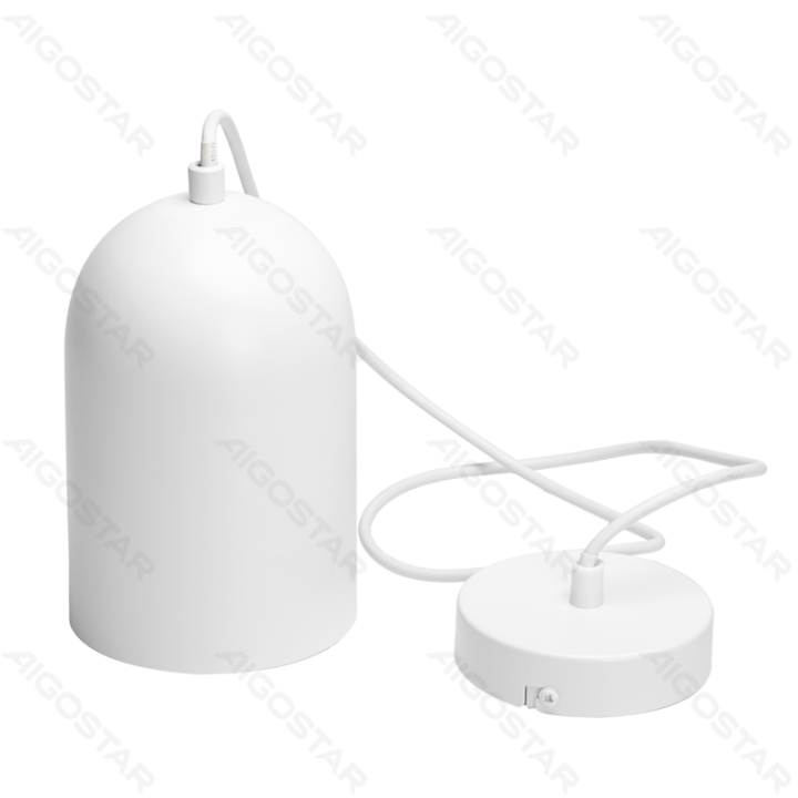 Geležinis pakabinamas šviestuvas baltas (be šviesos šaltinio) E27