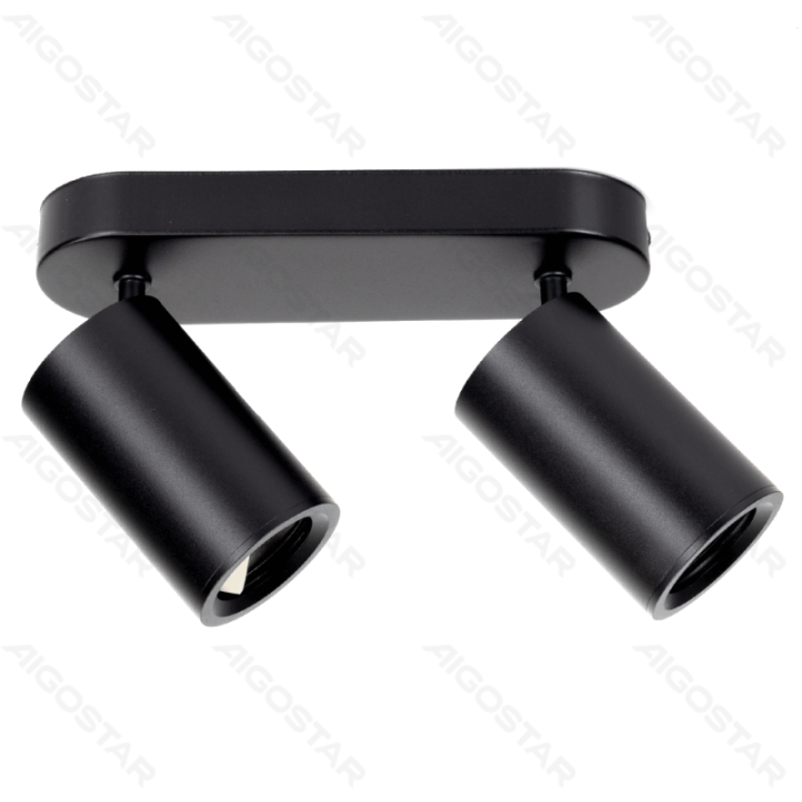 2 krypčių reguliuojamo kampo metalinis taškinis šviestuvas